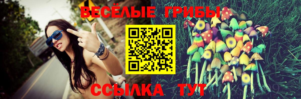 Псилоцибиновые грибы Cubensis  Вход с VPN  Майкоп 