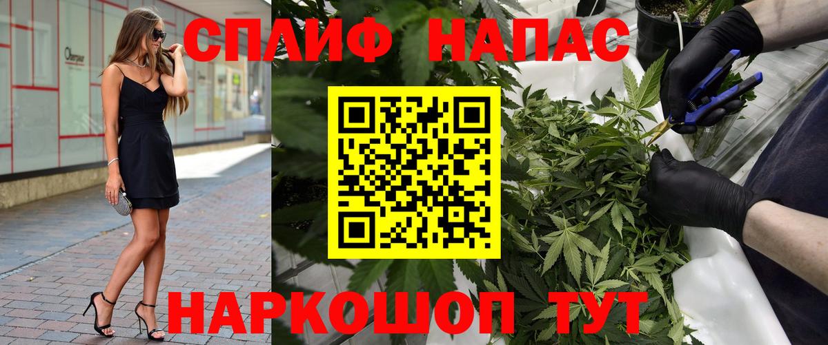 Шишки марихуана план Майкоп